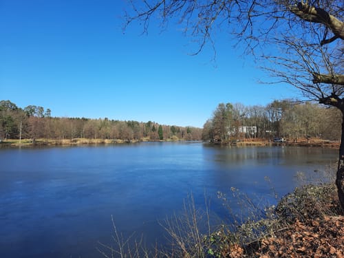 Brückweiher - Gustavsburg
