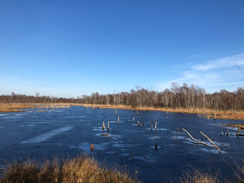 Naturschutzgebiet Wittmoor von Duvenstedt