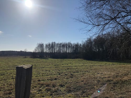 Naturschutzgebiet Wittmoor von Duvenstedt