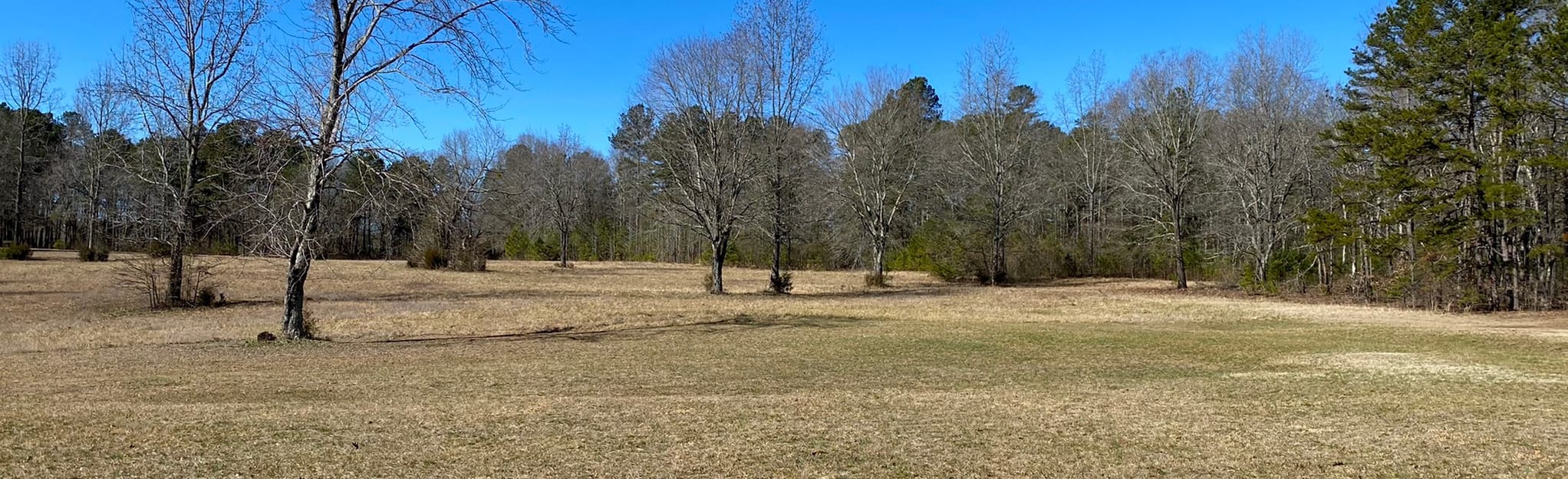 Cowpens Battlefield Loop, South Carolina 180 Reviews, Map AllTrails