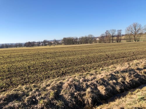 RTF 2019 Rund um Ober-Mörlen - 41 km