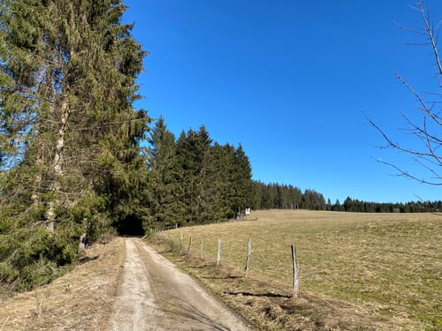 Von Hollerath zur Oleftalsperre