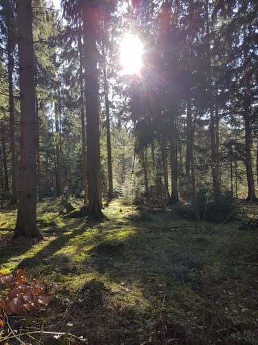 Marxen am Berge Rundweg