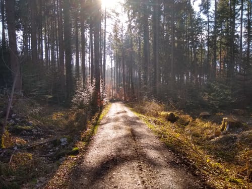Glonn Wanderweg 5