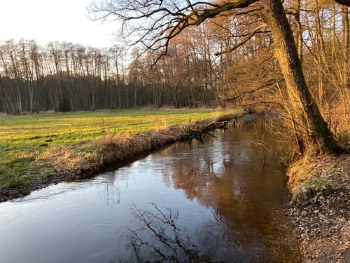 Im Estetal zwischen Bötersheim, Dohrener Mühlenbach und Kakenstorf