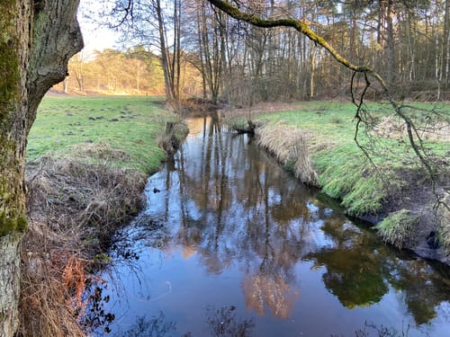 Im Estetal zwischen Bötersheim, Dohrener Mühlenbach und Kakenstorf