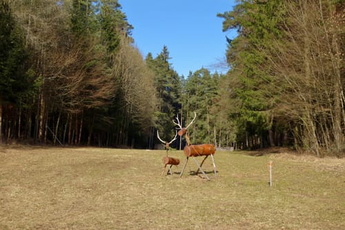 Plech nach Ranna durch dem Veldensteiner Forst