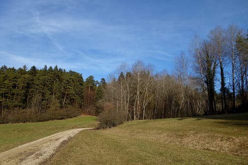 Plech nach Ranna durch dem Veldensteiner Forst