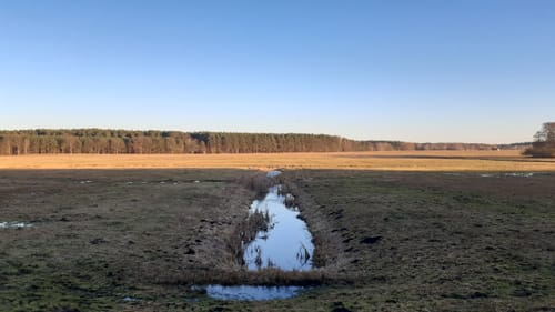 Runde Flecken Zechlin - Linow