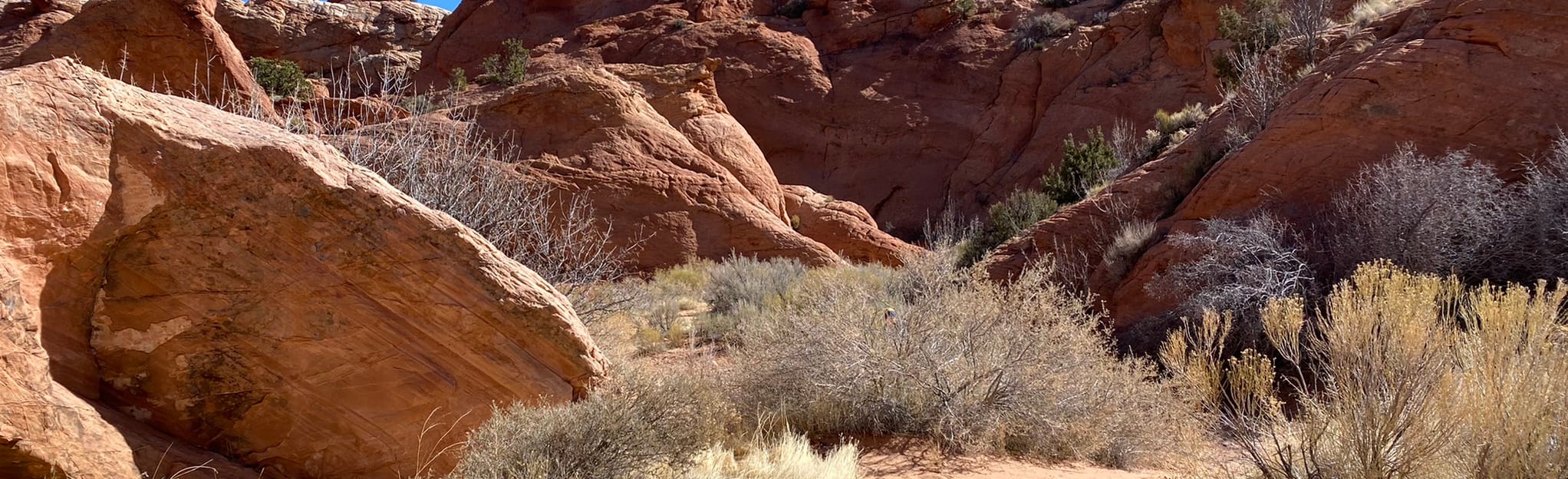 Catstair Canyon, Utah 114 Reviews, Map AllTrails