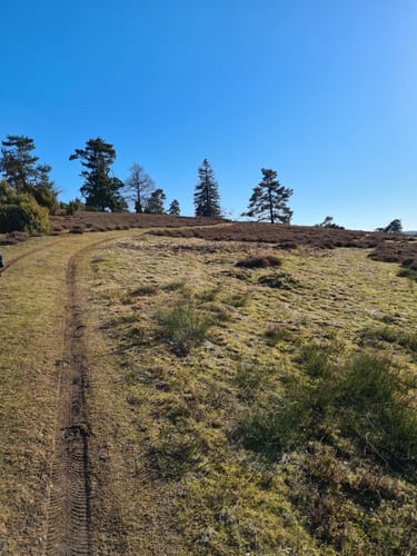 Bergheidenweg (Traumpfad)