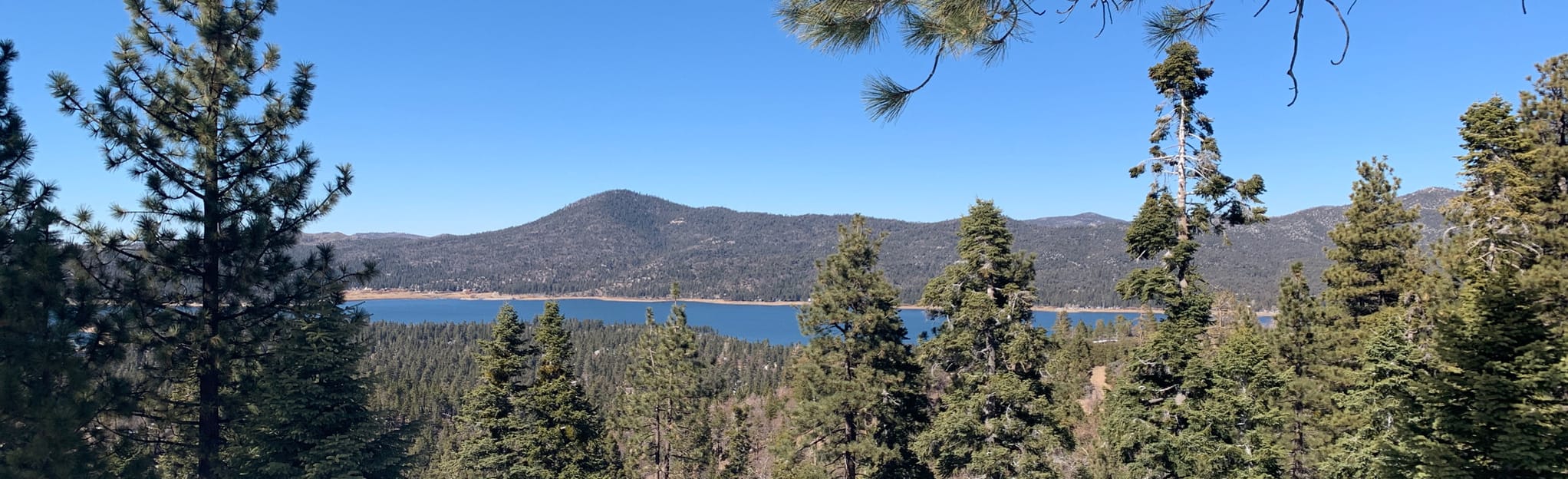 Metcalf and Cabin 89 Trail: 154 Reviews, Map - California | AllTrails