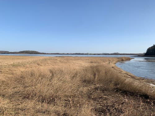 Um den Nordschau Wald