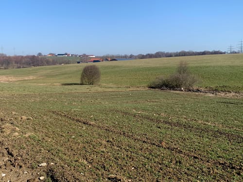 Neufinsing - Finsinger Holz - Lausbach