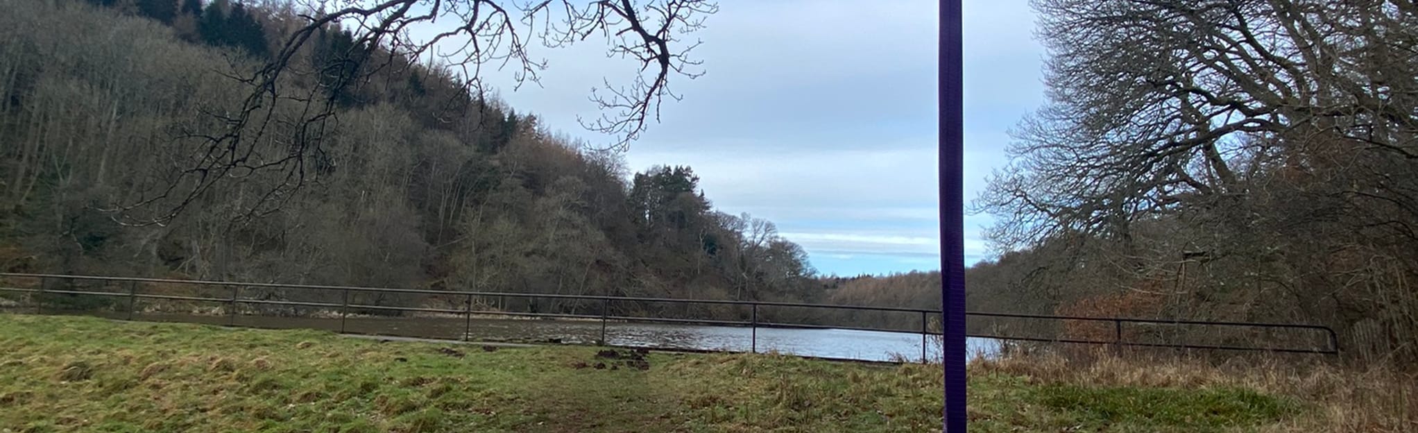 Pressmennan Wood, East Lothian, Scotland 8 Reviews, Map AllTrails