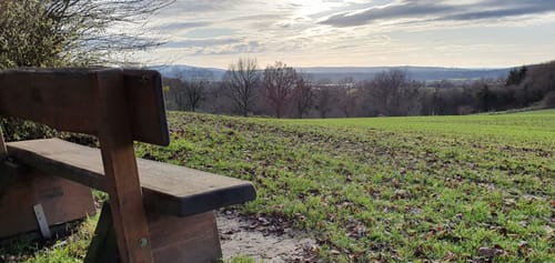 Gründauer Wanderwege Lieblos - Specht