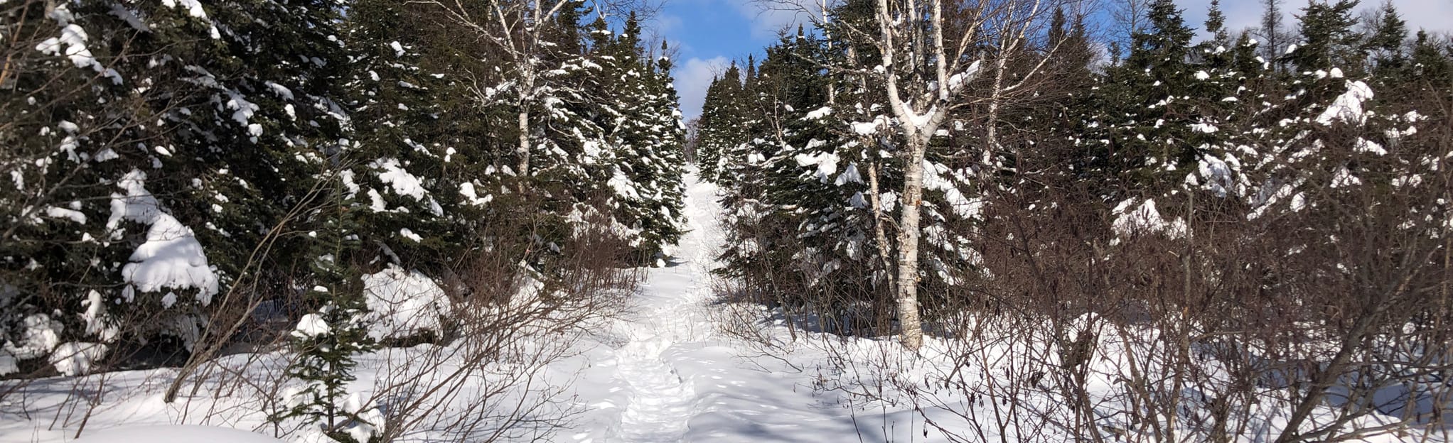 Airport Nordic Snowshoe Loop 2 Reviews, Map Newfoundland and