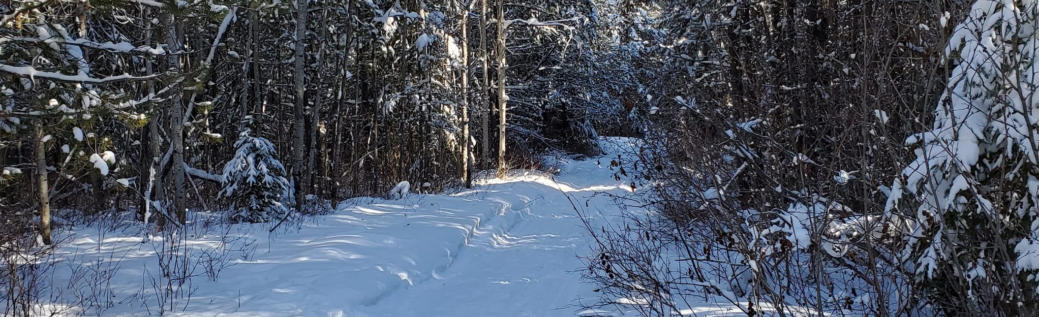 Partridge Creek Trail, British Columbia, Canada 6 Reviews, Map