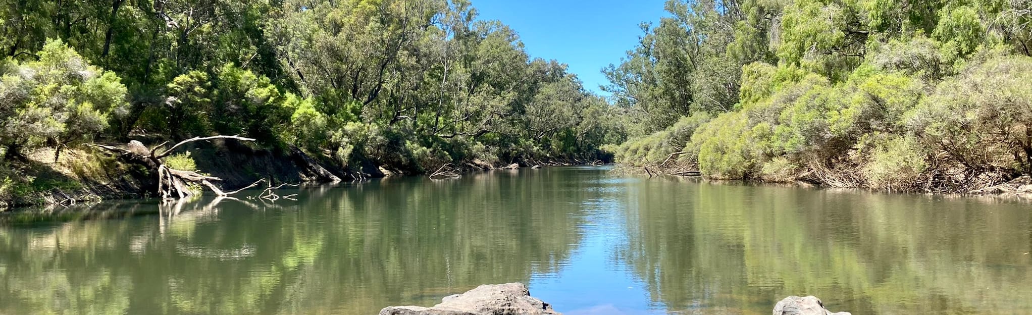 Blackwood River Paddle Denny Road, Western Australia, Australia 2