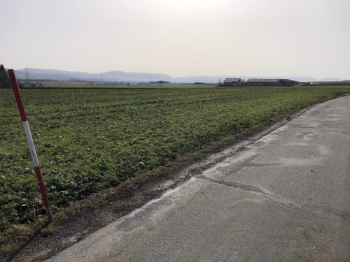 Waldcafe nach Hochemmingen