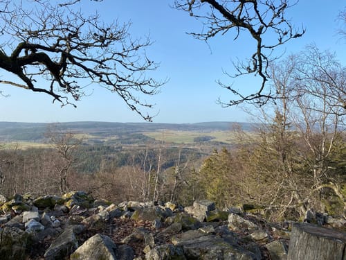 Kirschweiler Festung (Premiumwanderweg)