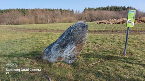 Kleine Runde bei Thomm