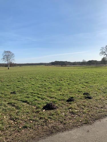 Heidschnuckenweg Etappe 3: Handeloh - Undeloh