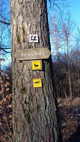 Brandorfer Forst Rundweg