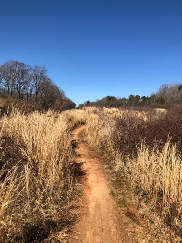 anne springs close greenway bike trails