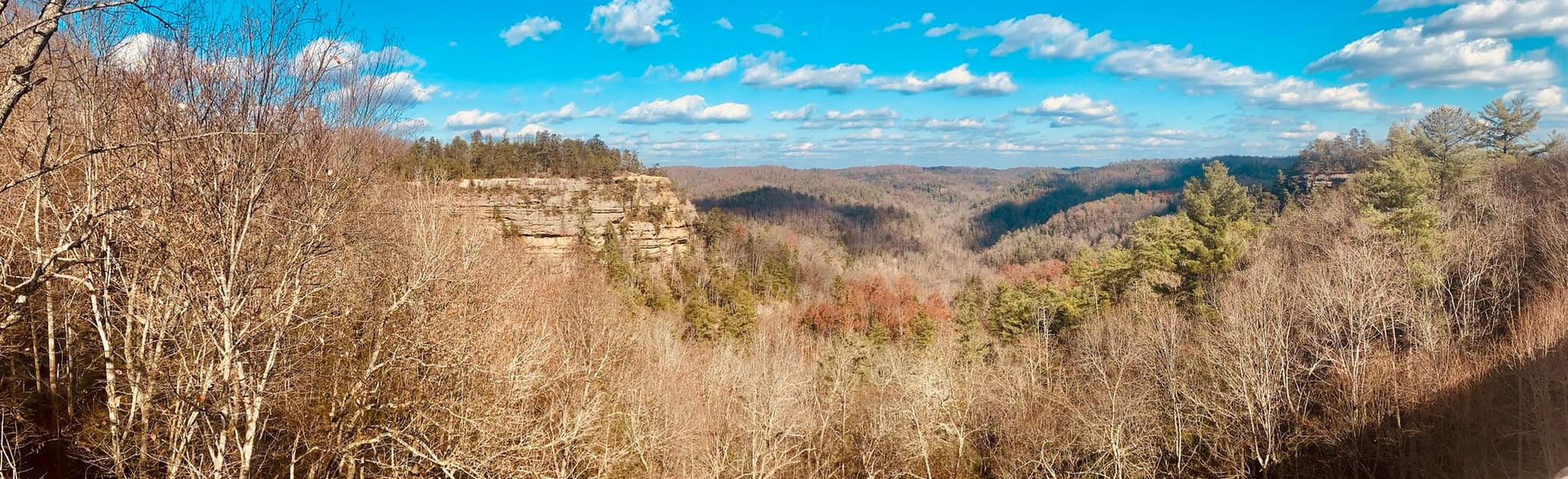 Balanced Rock to Natural Bridge via Laurel Ridge Trail: 559 Reviews