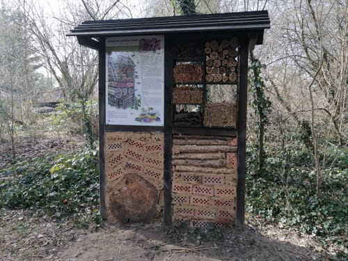 Fontaneweg von Konigs Wusterhausen nach Schmockwitz
