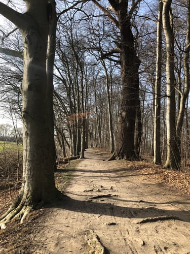 Runde ab Wiek - Greifswald