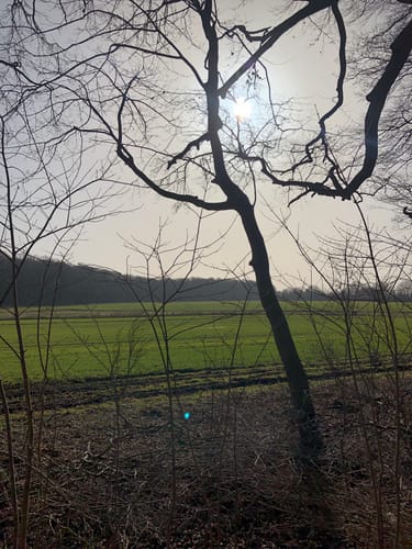 Runde ab Wiek - Greifswald