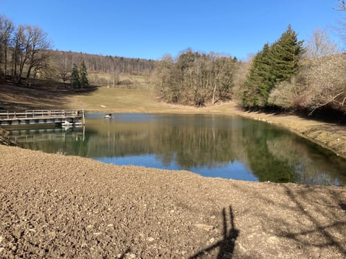 Von Altsteußlingen zum Blauen Steinbruch