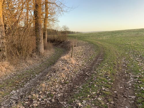 Rundweg: Gruol - Hospach
