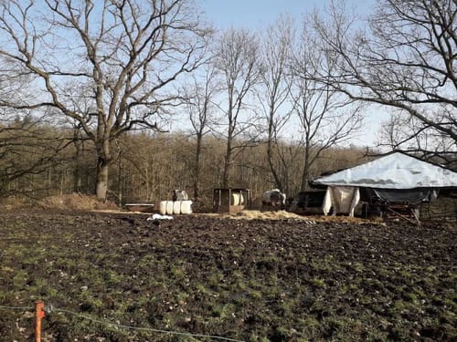 Büttstedt: Durch das Appental