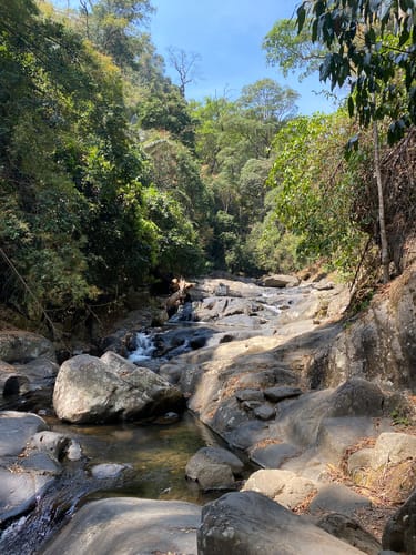 Best trails in Pran Buri Forest Park AllTrails