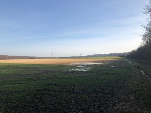 Gebhardshagen um den Salzgittersee