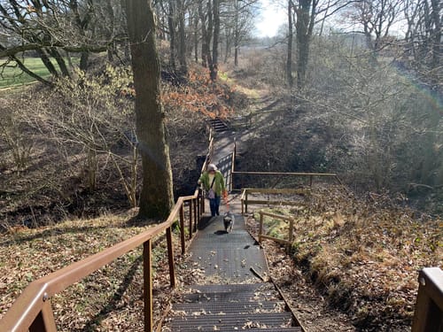 Wikingerland Wanderung (7km)
