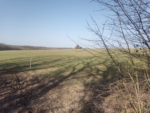 Gänseweg (Blieskastel)