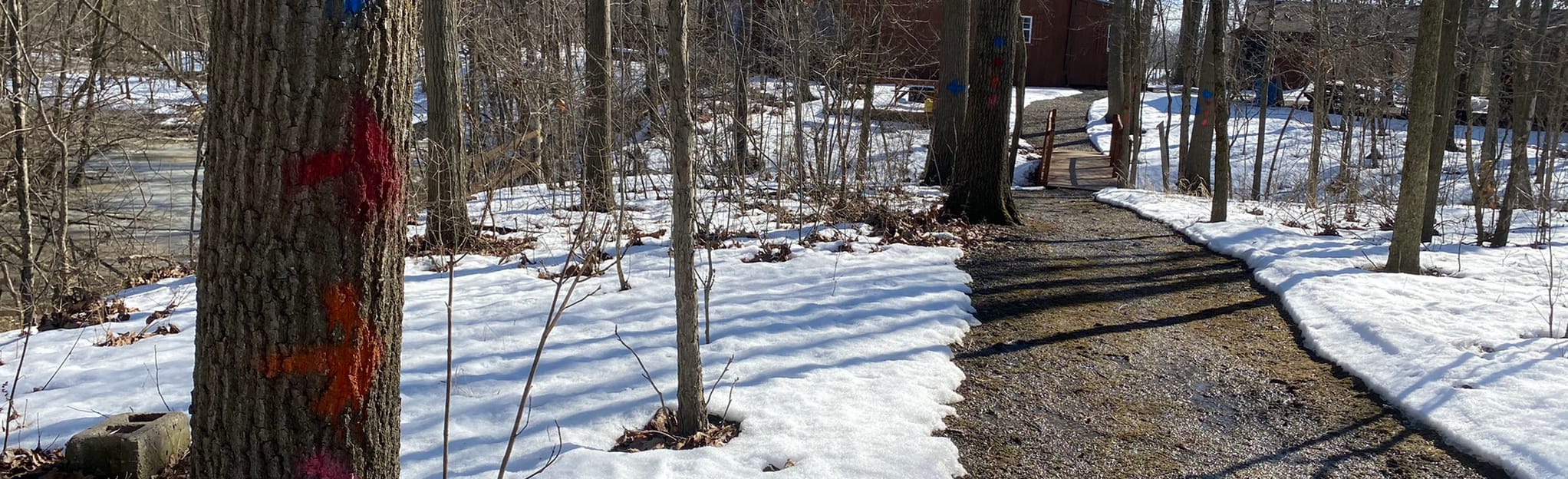 Fresh Encounter Woods Woodpecker Way, Ohio 4 Reviews, Map AllTrails