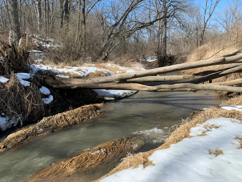 Jubilee College State Park Trails