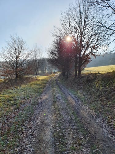 Bubach Runde