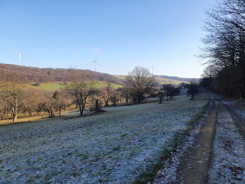 Bubach Runde