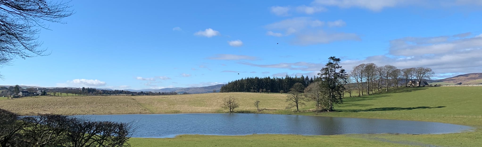 Ale Water Valley from Whitmuir Farm, Scottish Borders, Scotland 4