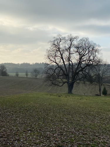 Röntgenlauf Remscheid