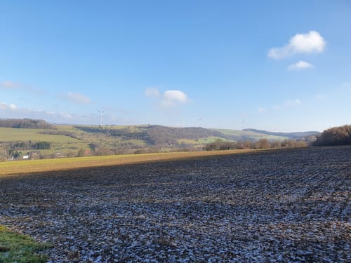 Bubach Runde