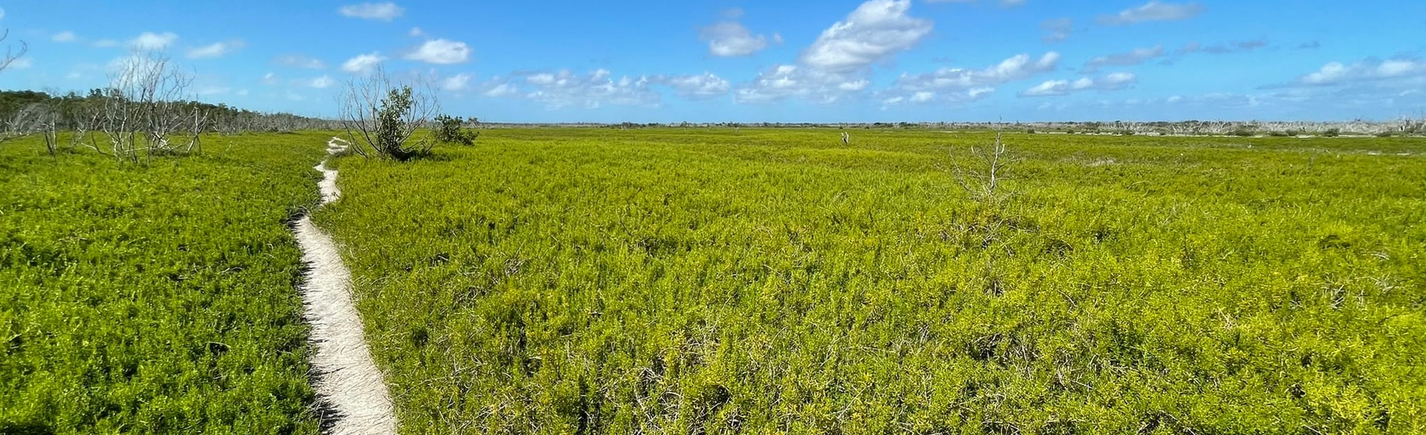 Bayshore Loop 105 Reviews, Map Florida AllTrails