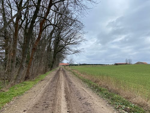 Paulinenaue nach Nauen