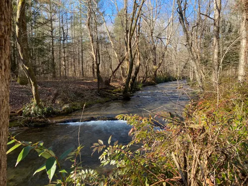 Best Hikes and Trails in Smithgall Woods State Park | AllTrails